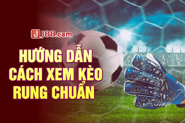 Hướng dẫn cách xem kèo rung chuẩn